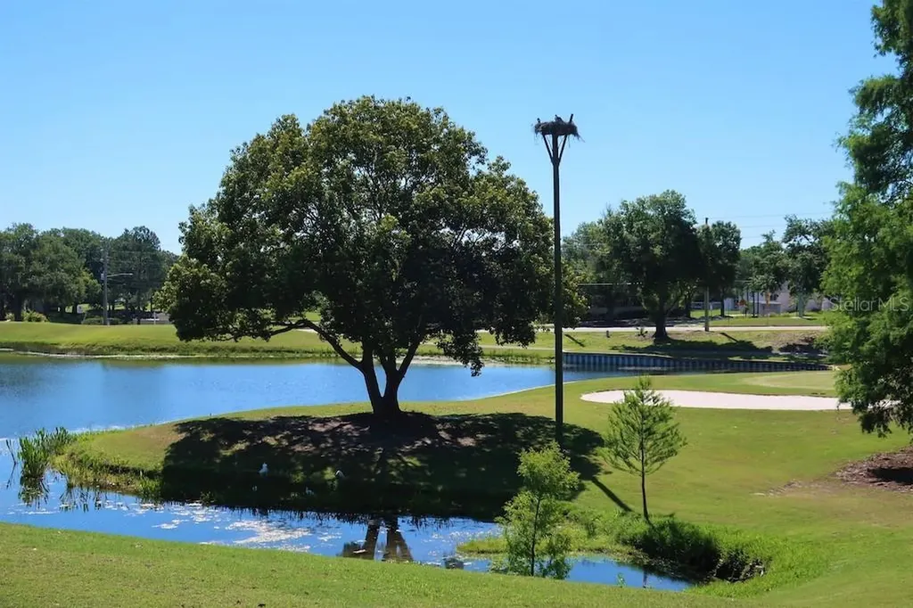 3157 Mission Grove Drive Palm Harbor FL 34684