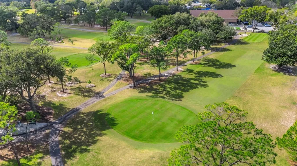 3157 Mission Grove Drive Palm Harbor FL 34684