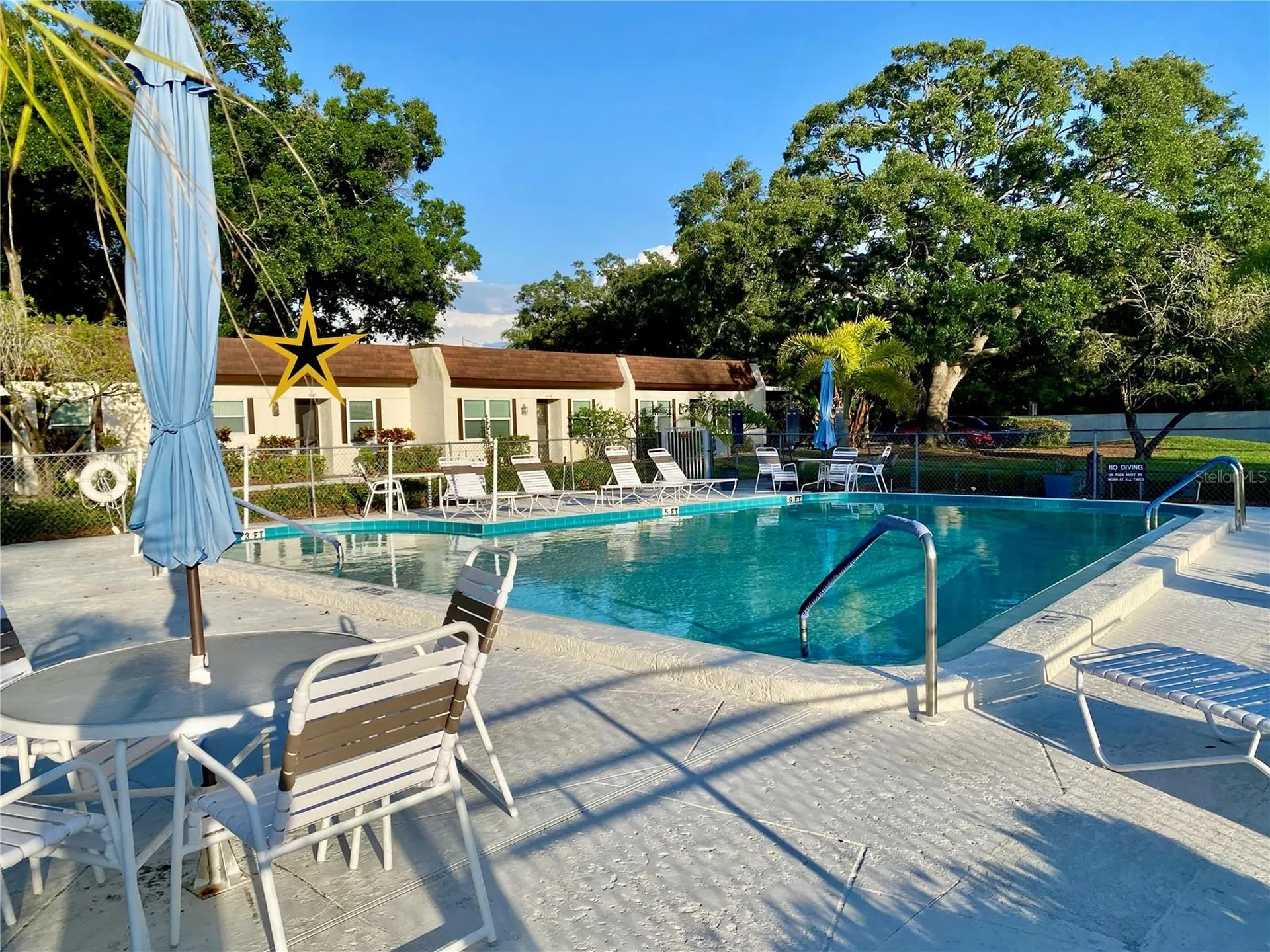 3157 Mission Grove Drive Palm Harbor FL 34684