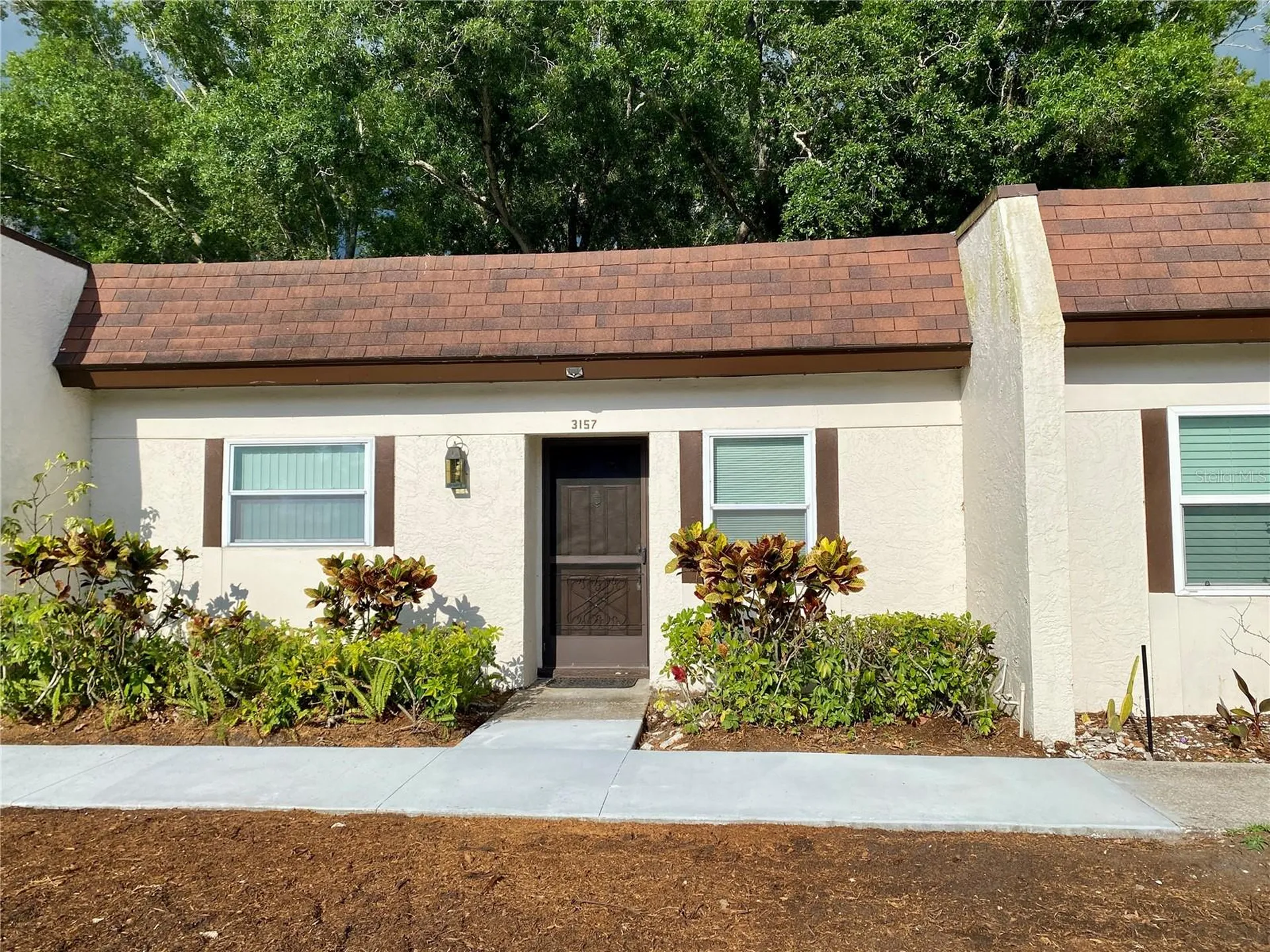 3157 Mission Grove Drive Palm Harbor FL 34684