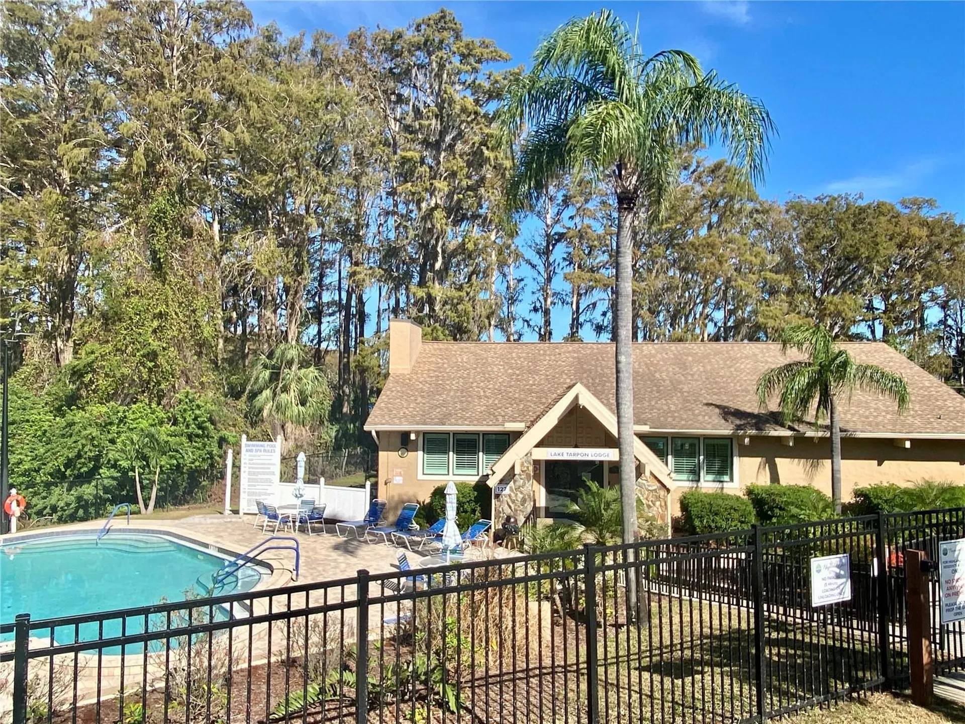 3157 Mission Grove Drive Palm Harbor FL 34684