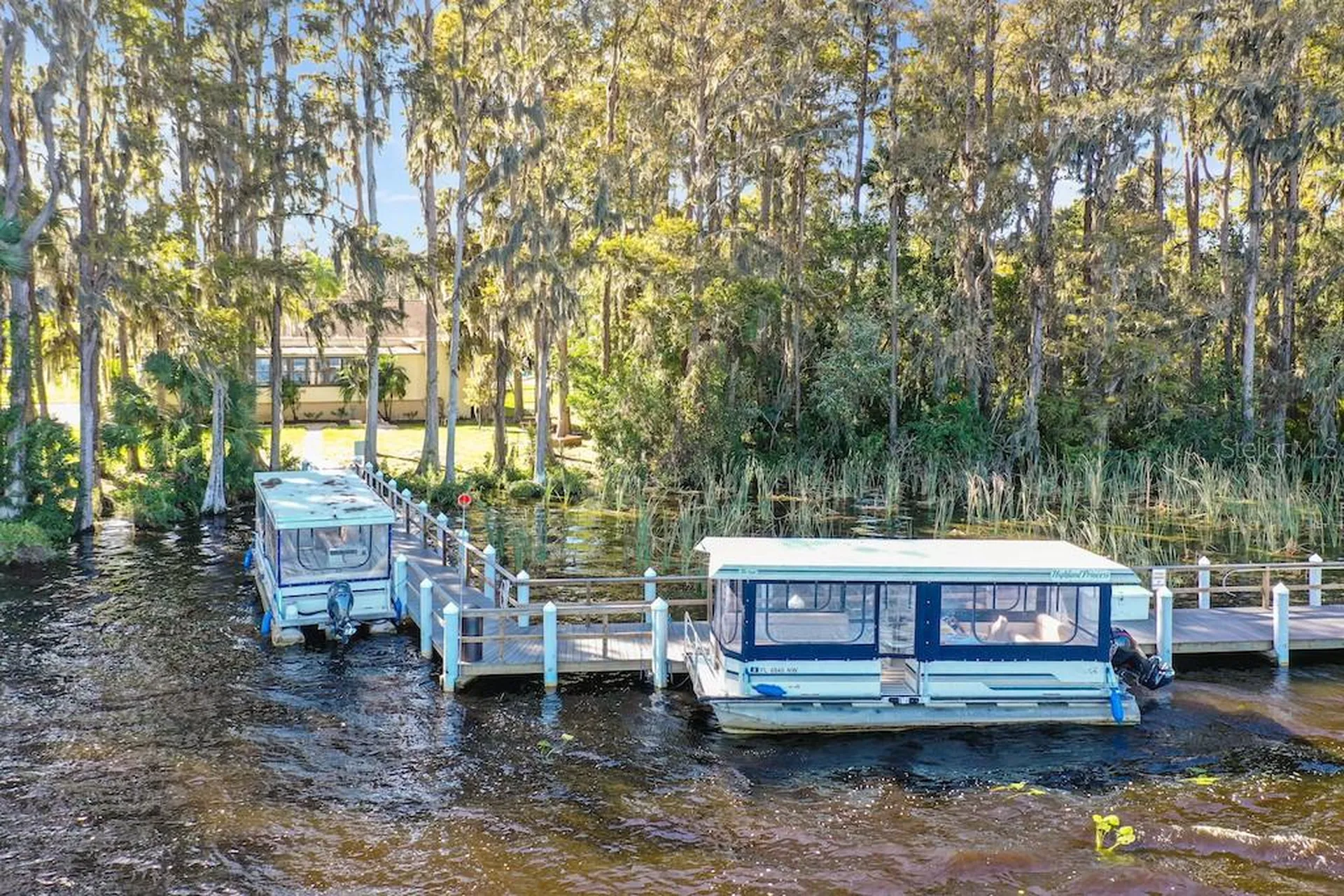 3157 Mission Grove Drive Palm Harbor FL 34684