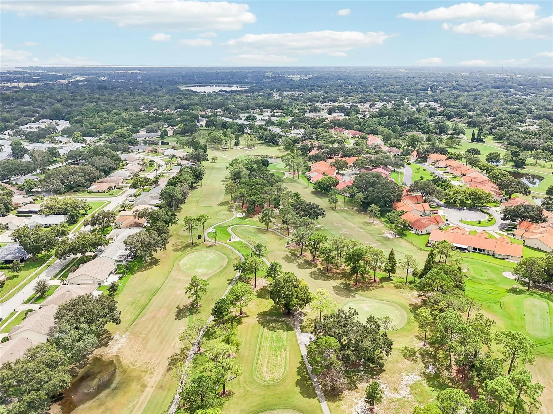 3157 Mission Grove Drive Palm Harbor FL 34684