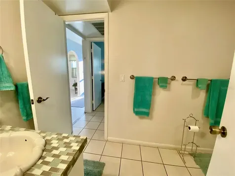 3157 Mission Grove Drive Palm Harbor FL 34684
