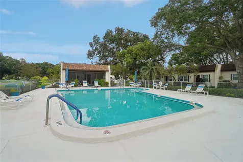 3157 Mission Grove Drive Palm Harbor FL 34684