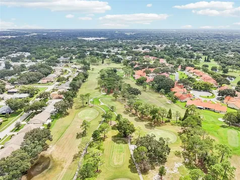 3157 Mission Grove Drive Palm Harbor FL 34684