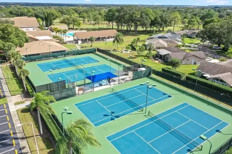 3157 Mission Grove Drive Palm Harbor FL 34684