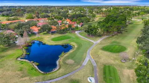 3157 Mission Grove Drive Palm Harbor FL 34684