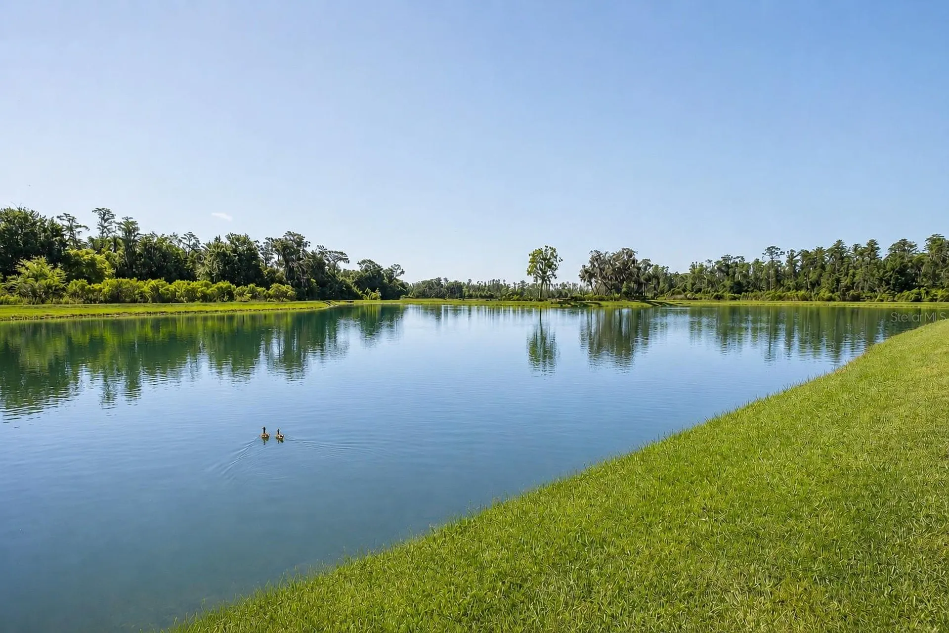 3880 Mellon Drive Odessa FL 33556