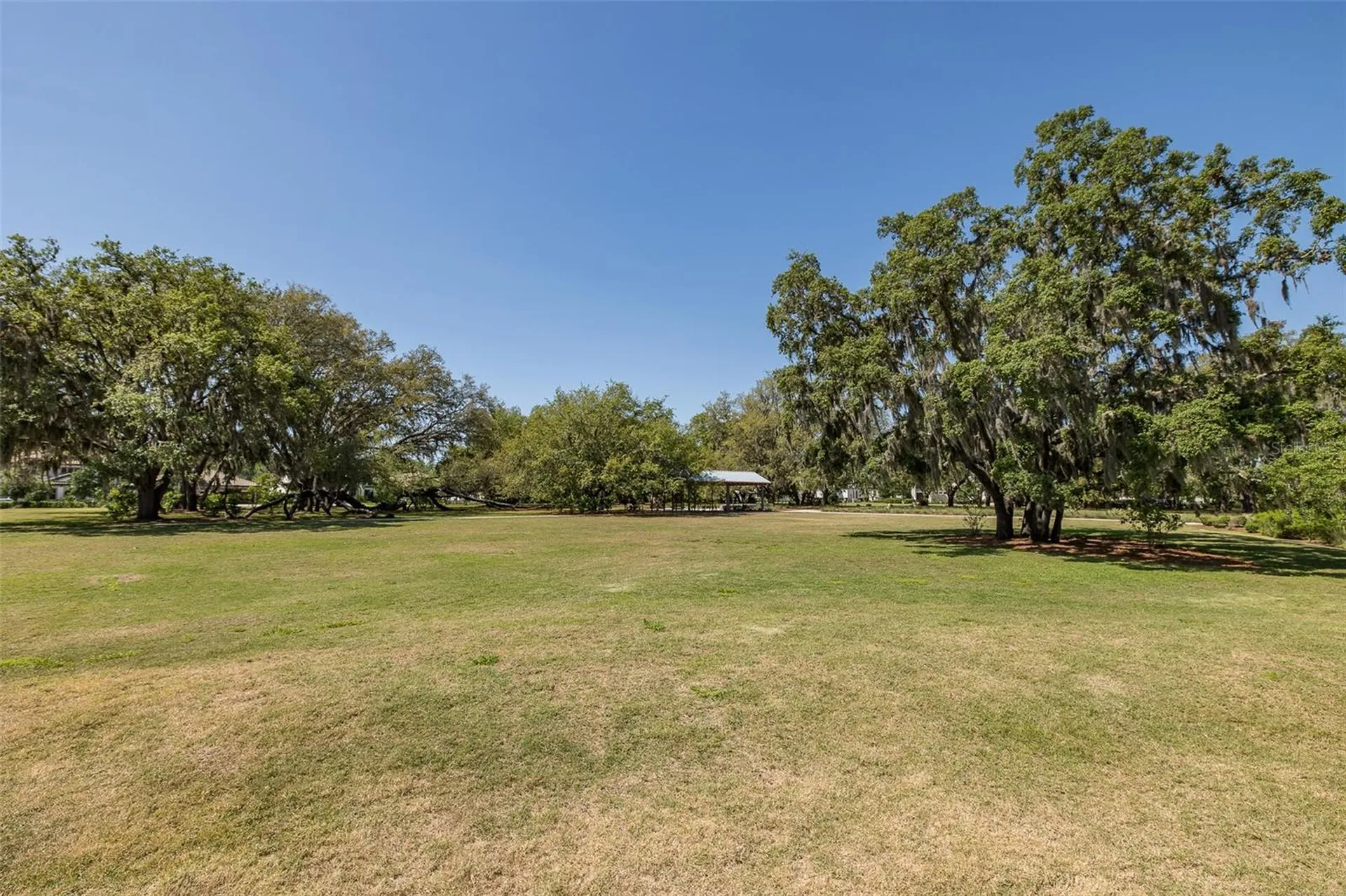 3880 Mellon Drive Odessa FL 33556