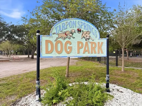 1038 Wideview Avenue Tarpon Springs FL 34689