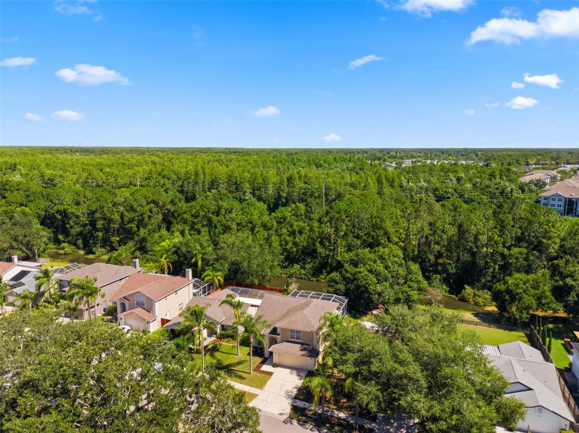 11213 Clayridge Drive Tampa FL 33635