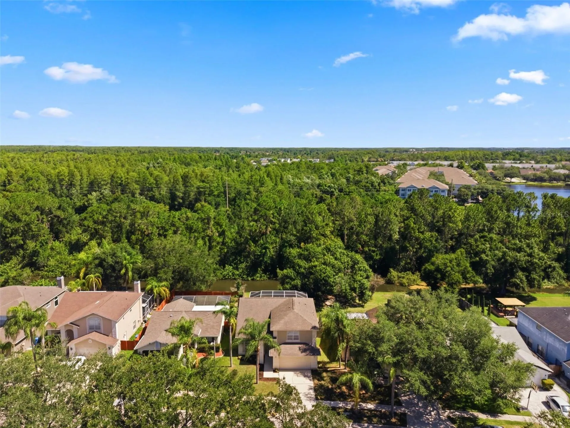 11213 Clayridge Drive Tampa FL 33635