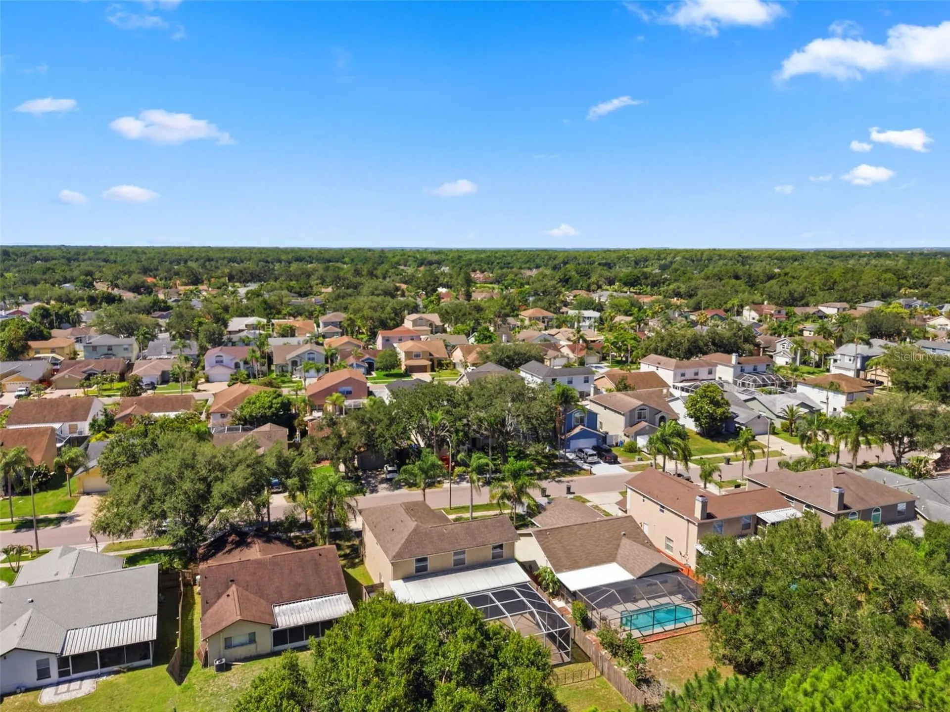 11213 Clayridge Drive Tampa FL 33635