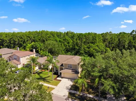 11213 Clayridge Drive Tampa FL 33635