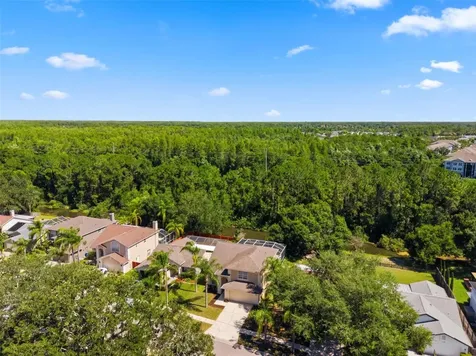 11213 Clayridge Drive Tampa FL 33635