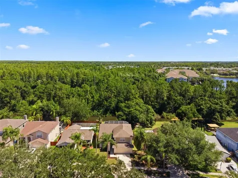 11213 Clayridge Drive Tampa FL 33635