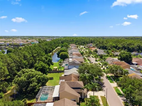 11213 Clayridge Drive Tampa FL 33635