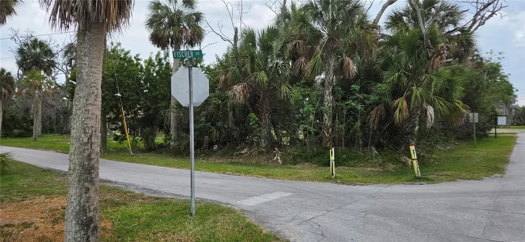 4824 Dowell Drive Port Richey FL 34668