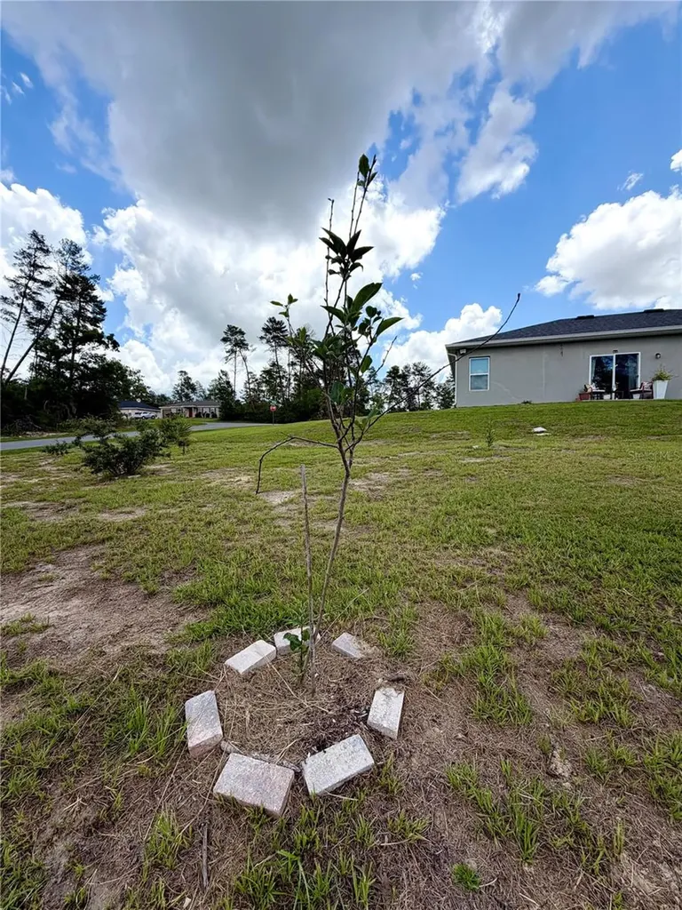 15943 SW 53rd Court Ocala FL 34473