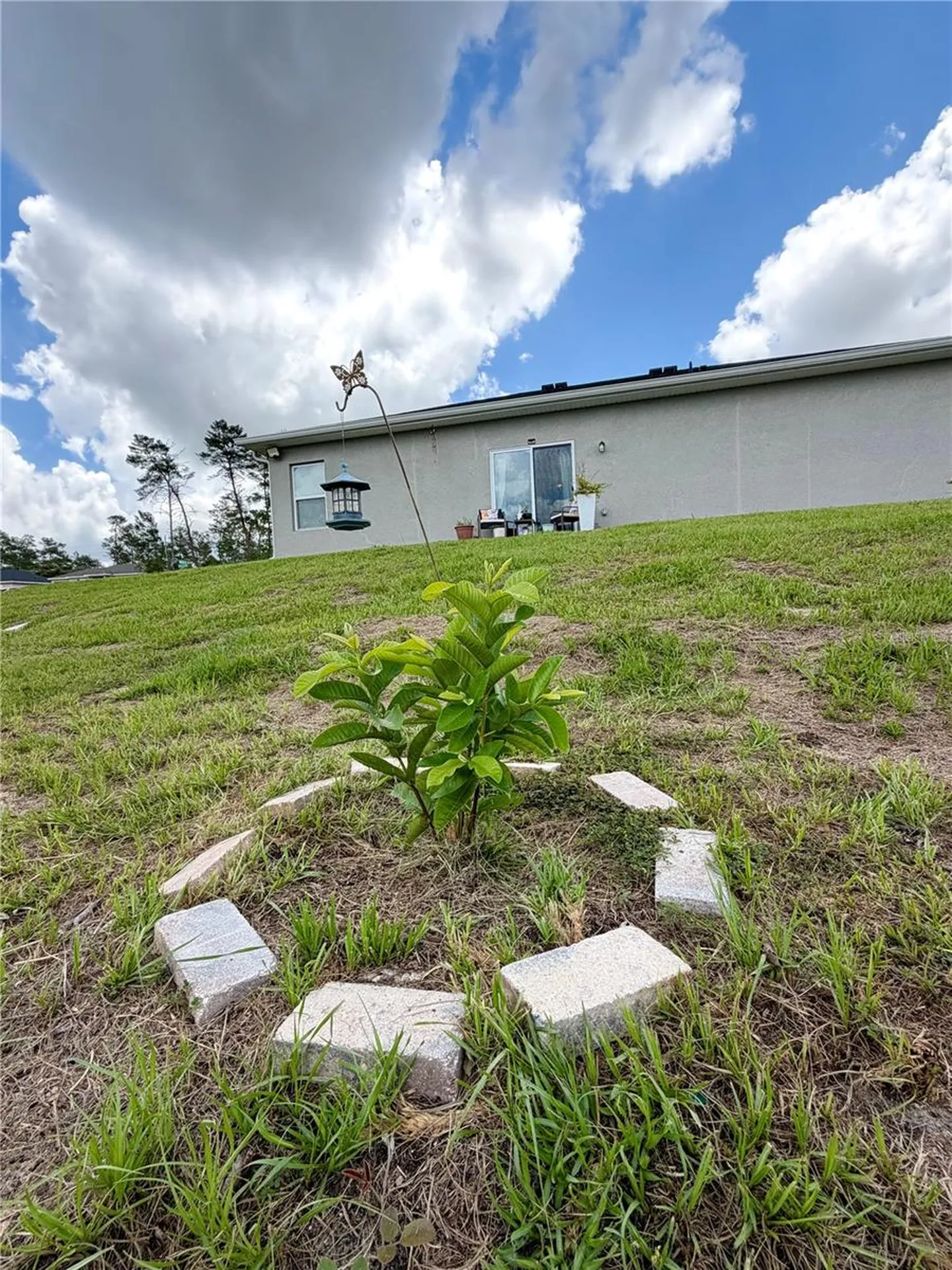 15943 SW 53rd Court Ocala FL 34473