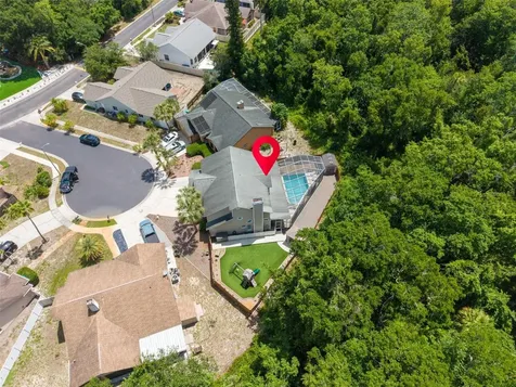 1802 Wood Stock Circle Tarpon Springs FL 34689