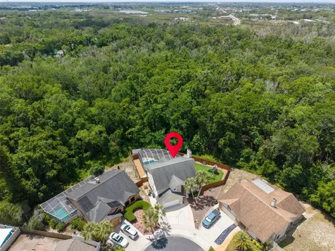 1802 Wood Stock Circle Tarpon Springs FL 34689