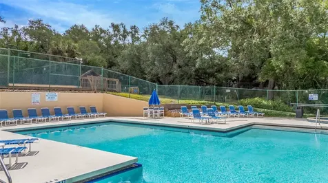 2726 11th Court Palm Harbor FL 34684