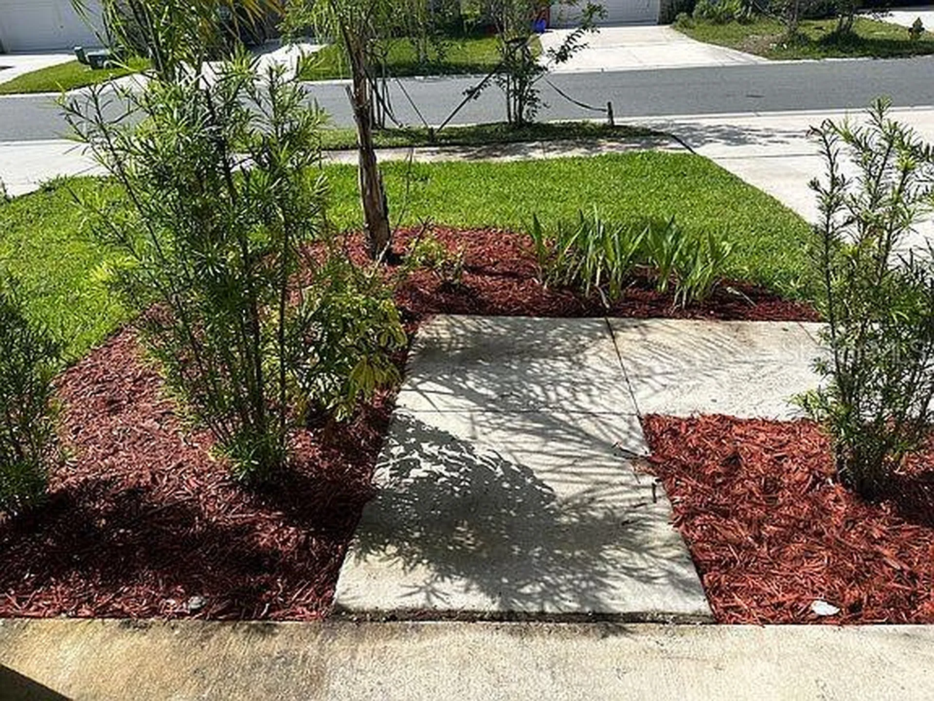 2505 Victorious Falls Avenue Plant City FL 33565