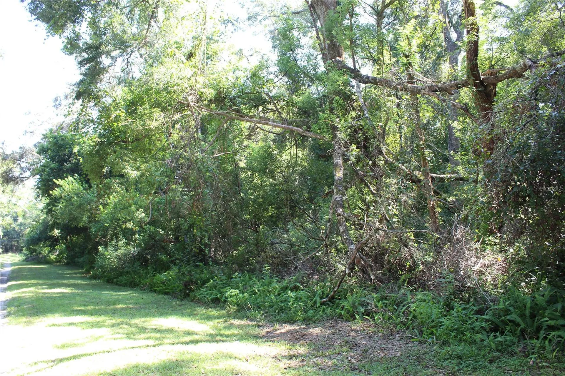 Grand Avenue Brooksville FL 34604