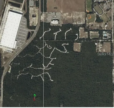 Belaire (paper) Avenue Deltona FL 32725