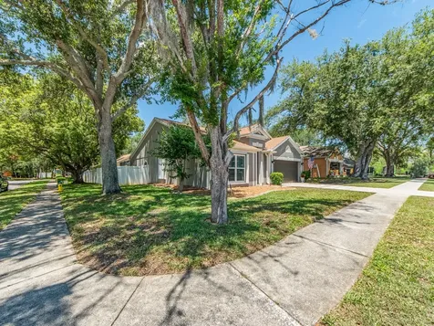 1700 Blue Lake Court Tarpon Springs FL 34689
