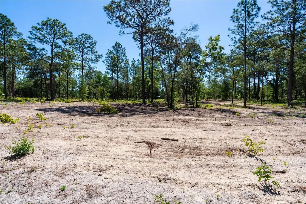 12691 SE 80th Street Morriston FL 32668