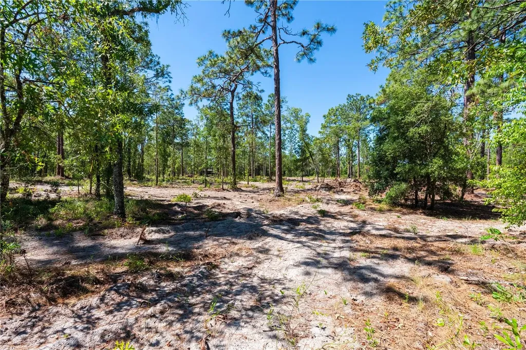 12691 SE 80th Street Morriston FL 32668