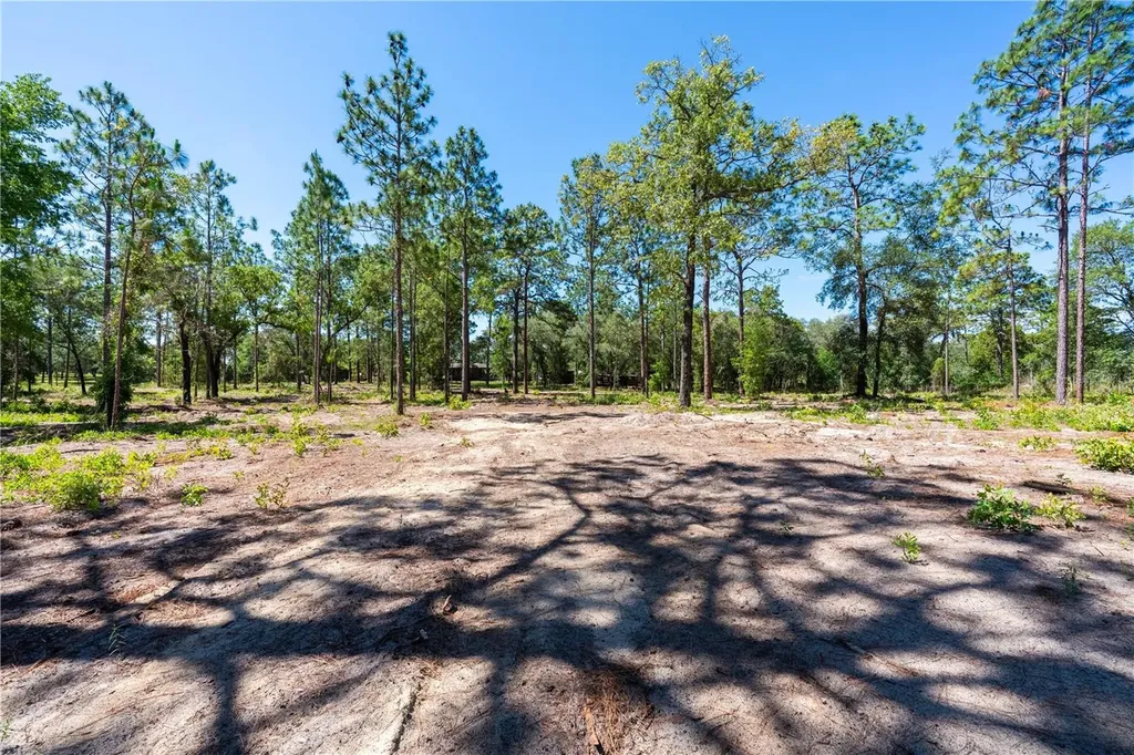 12691 SE 80th Street Morriston FL 32668