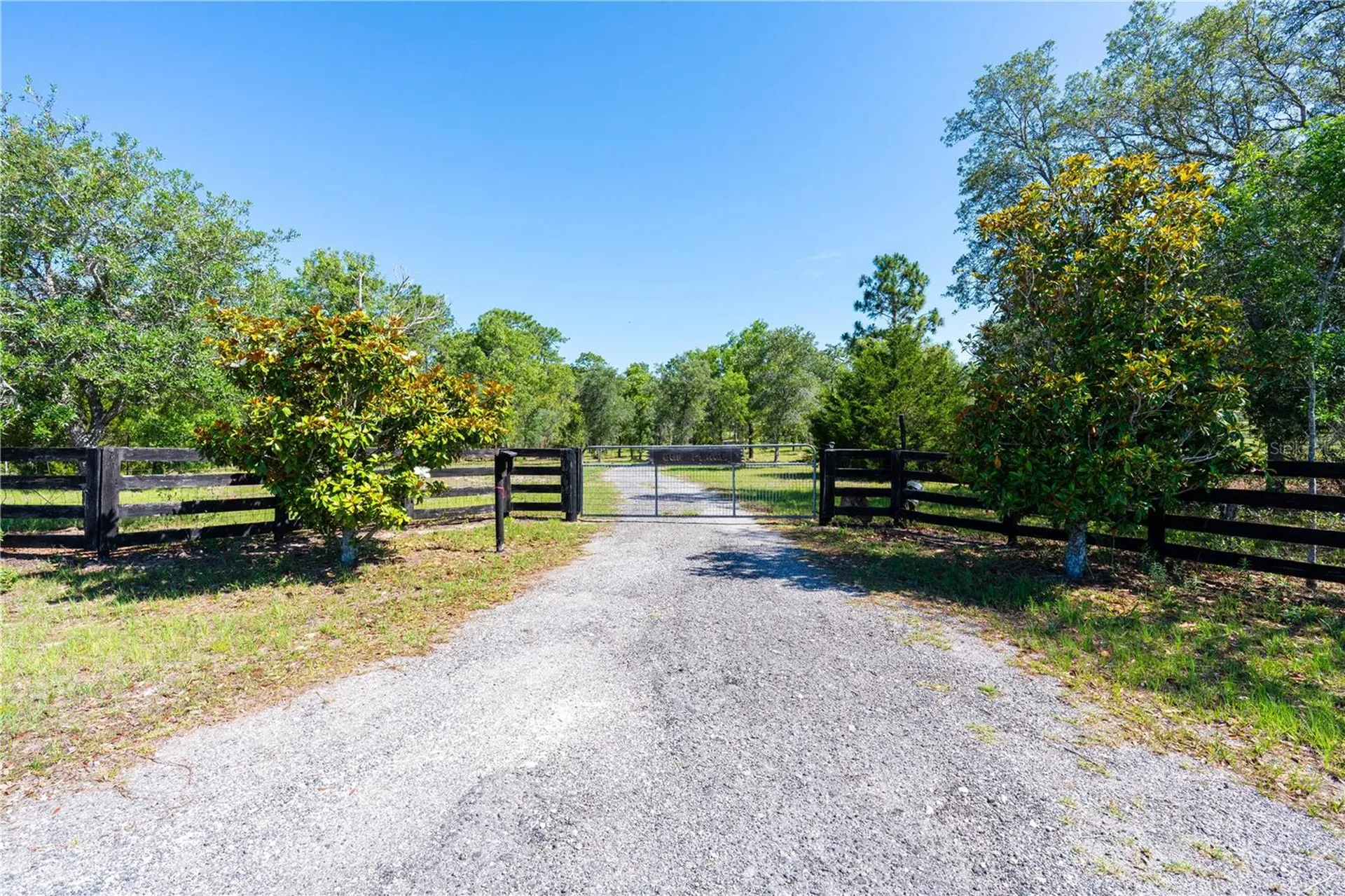 12691 SE 80th Street Morriston FL 32668
