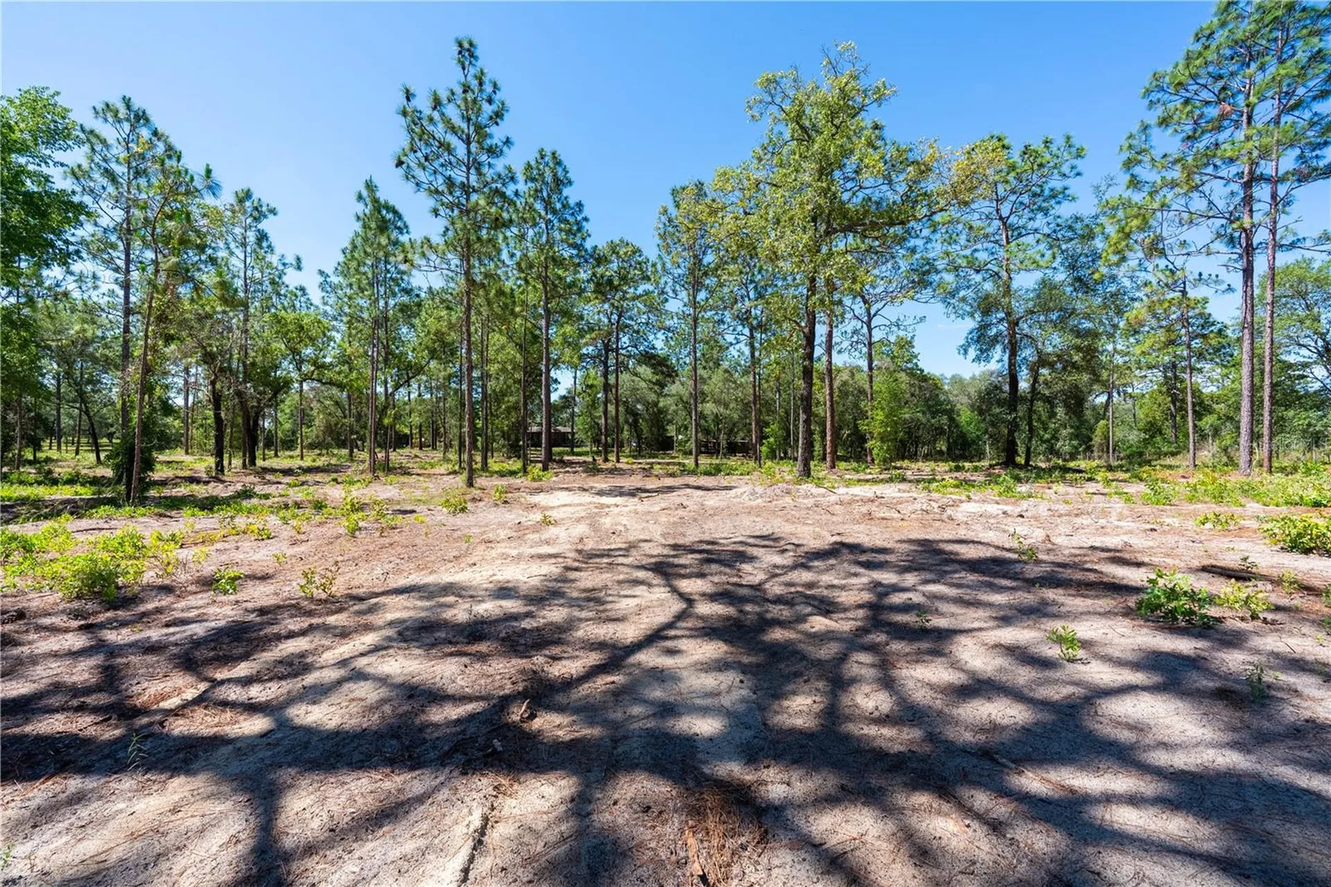 12691 SE 80th Street Morriston FL 32668
