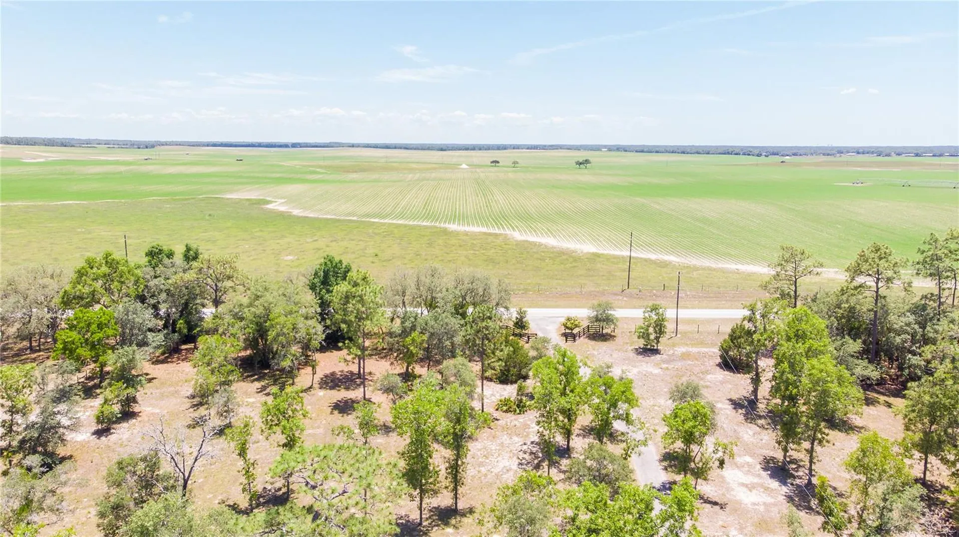 12691 SE 80th Street Morriston FL 32668