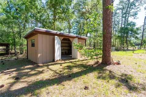 12691 SE 80th Street Morriston FL 32668