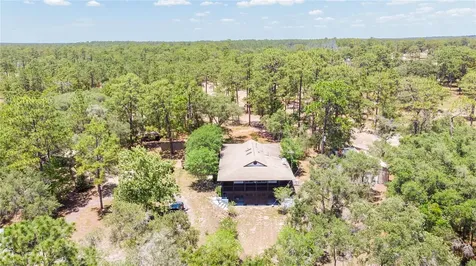 12691 SE 80th Street Morriston FL 32668