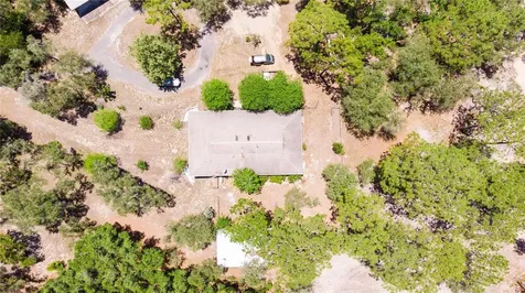12691 SE 80th Street Morriston FL 32668