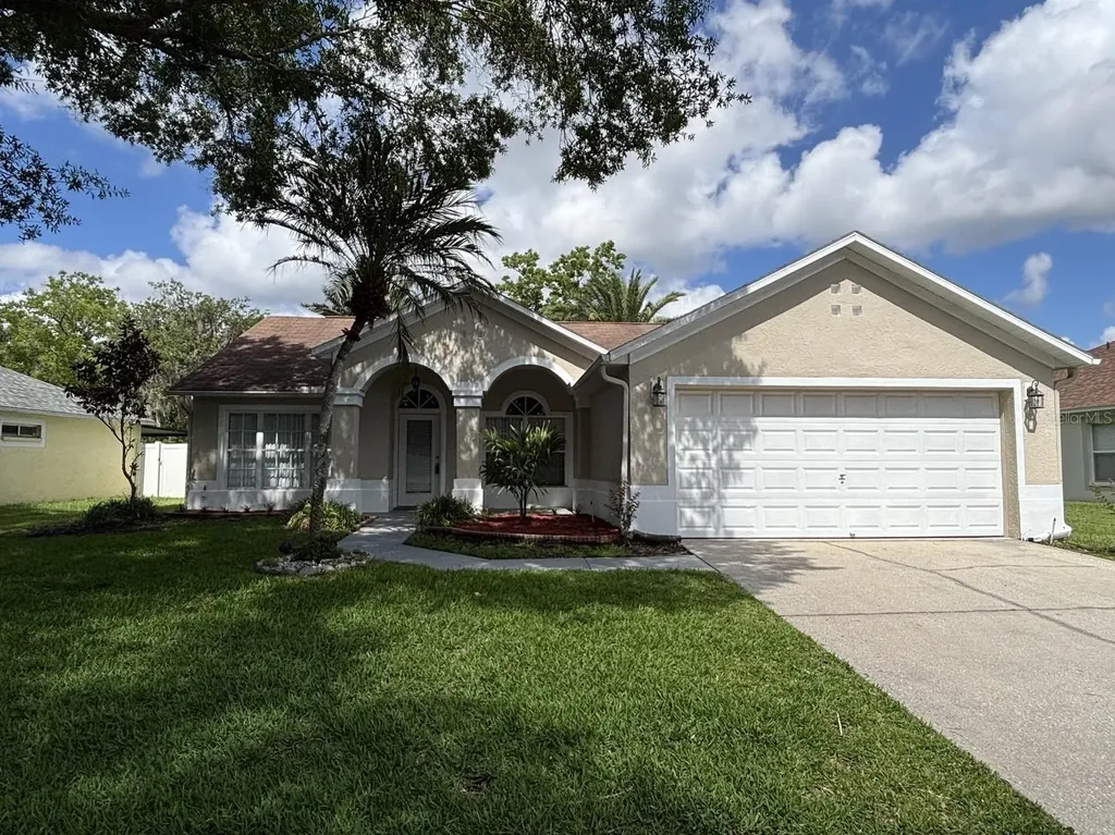 1327 Big Sky Drive Wesley Chapel FL 33543