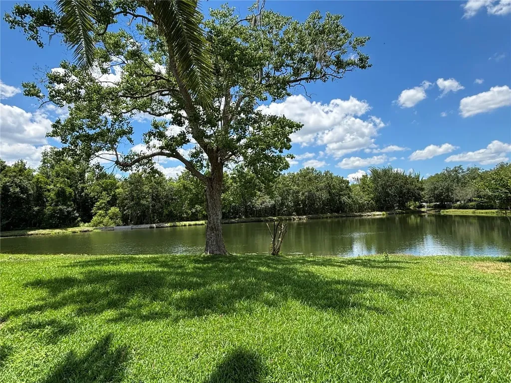 1327 Big Sky Drive Wesley Chapel FL 33543
