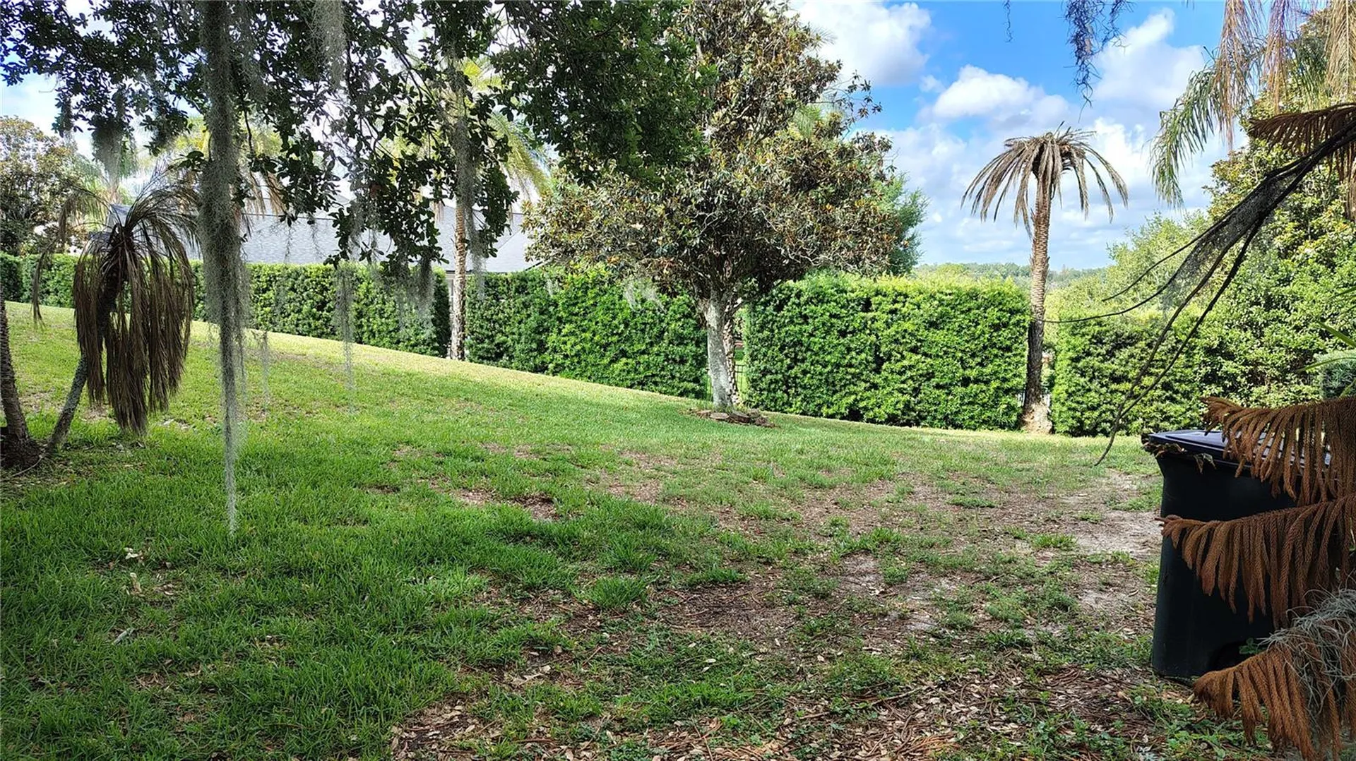 11424 Via De Renee Place Clermont FL 34711