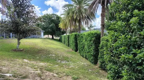 11424 Via De Renee Place Clermont FL 34711