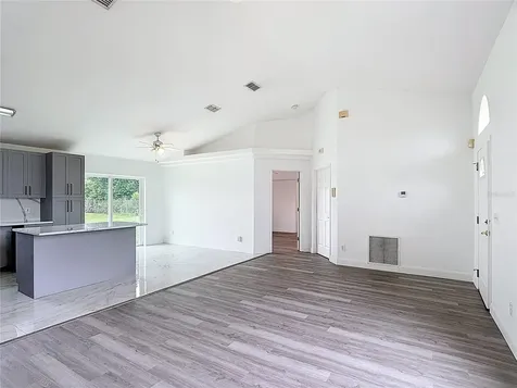 5233 Lake Lizzie Drive St Cloud FL 34771