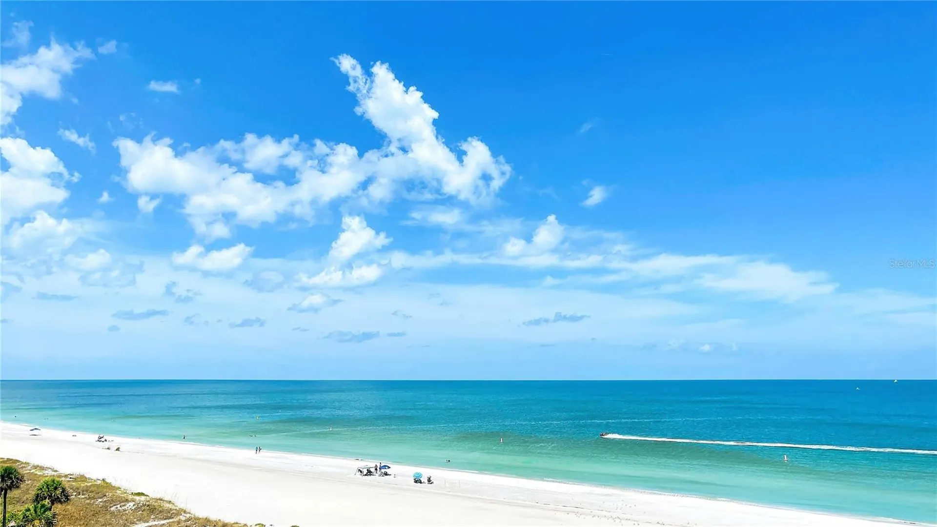 1221 Drew Street Clearwater FL 33755