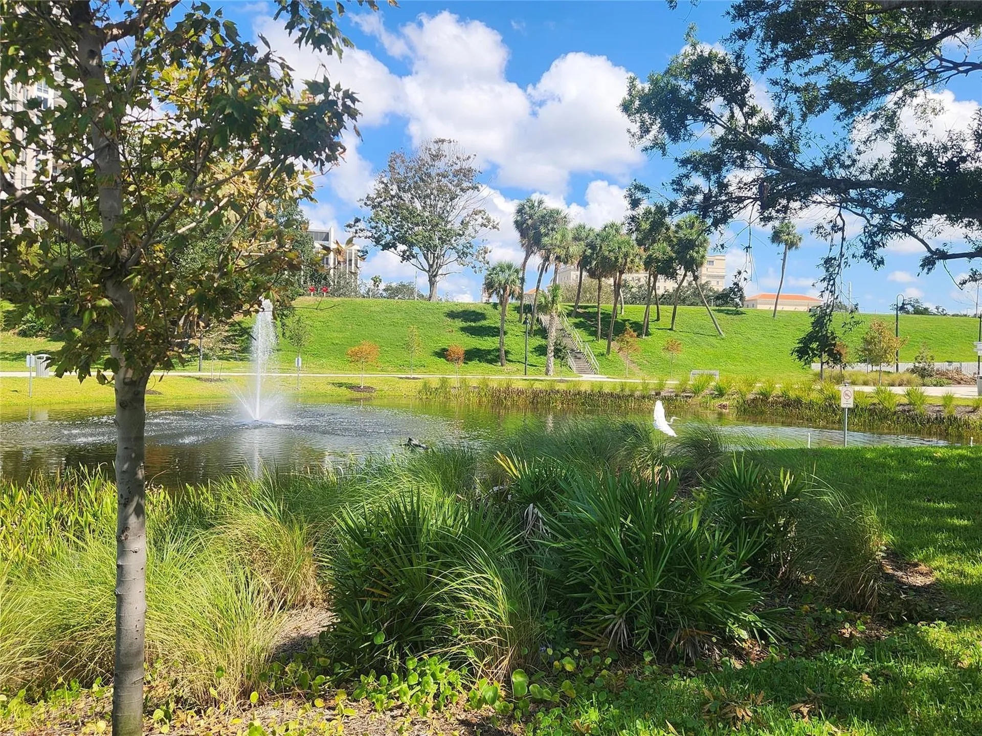1221 Drew Street Clearwater FL 33755