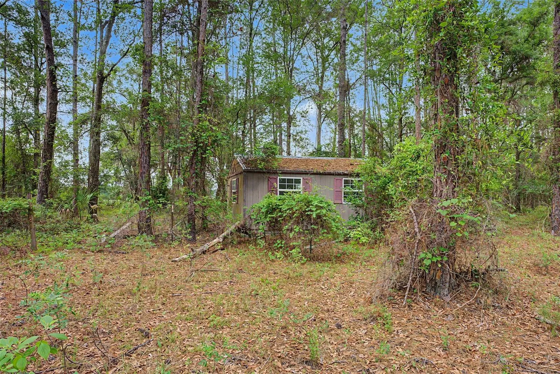 17926 SE 49th Place Hawthorne FL 32640