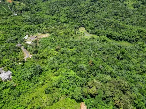 436 Km 1.8 Interior Sector Jesús Beltrán Lares PR 00669